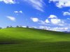 bliss-moments_later.jpg
