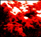 avatar2k3.gif