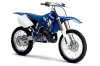 YZ250.jpg