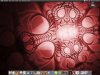 Red-Alien-Desktop.jpg