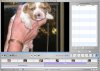 imovie.jpg