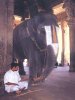 Srirangam 05.jpg