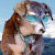 DogScout