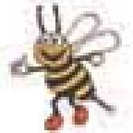 bumblebeedave