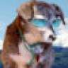 DogScout