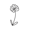 little_flower