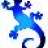 blue gekko