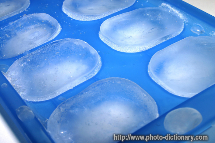 2019ice_cube_tray.jpg