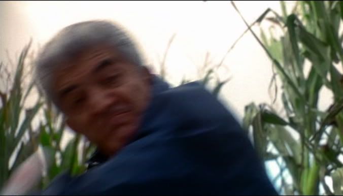 Frank-Casino.jpg