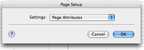 pagesetupnoattr.jpg