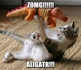 Alligator+cat.jpg