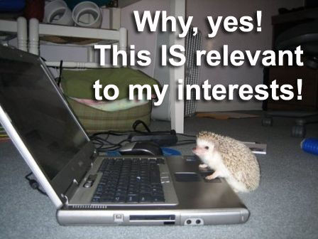 Relevant_to_interests_hedgehog.jpg