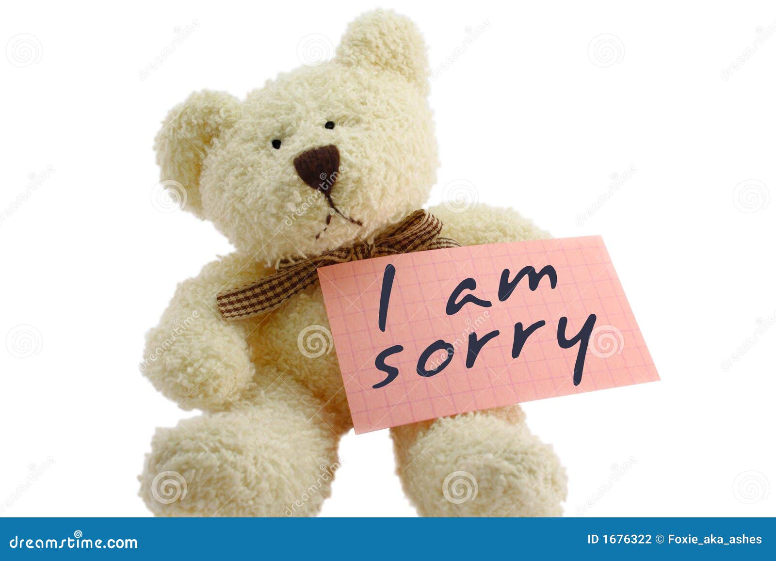 teddy-i-sorry-1676322.jpg